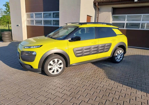 Citroen C4 Cactus cena 33500 przebieg: 136000, rok produkcji 2016 z Bodzentyn małe 529